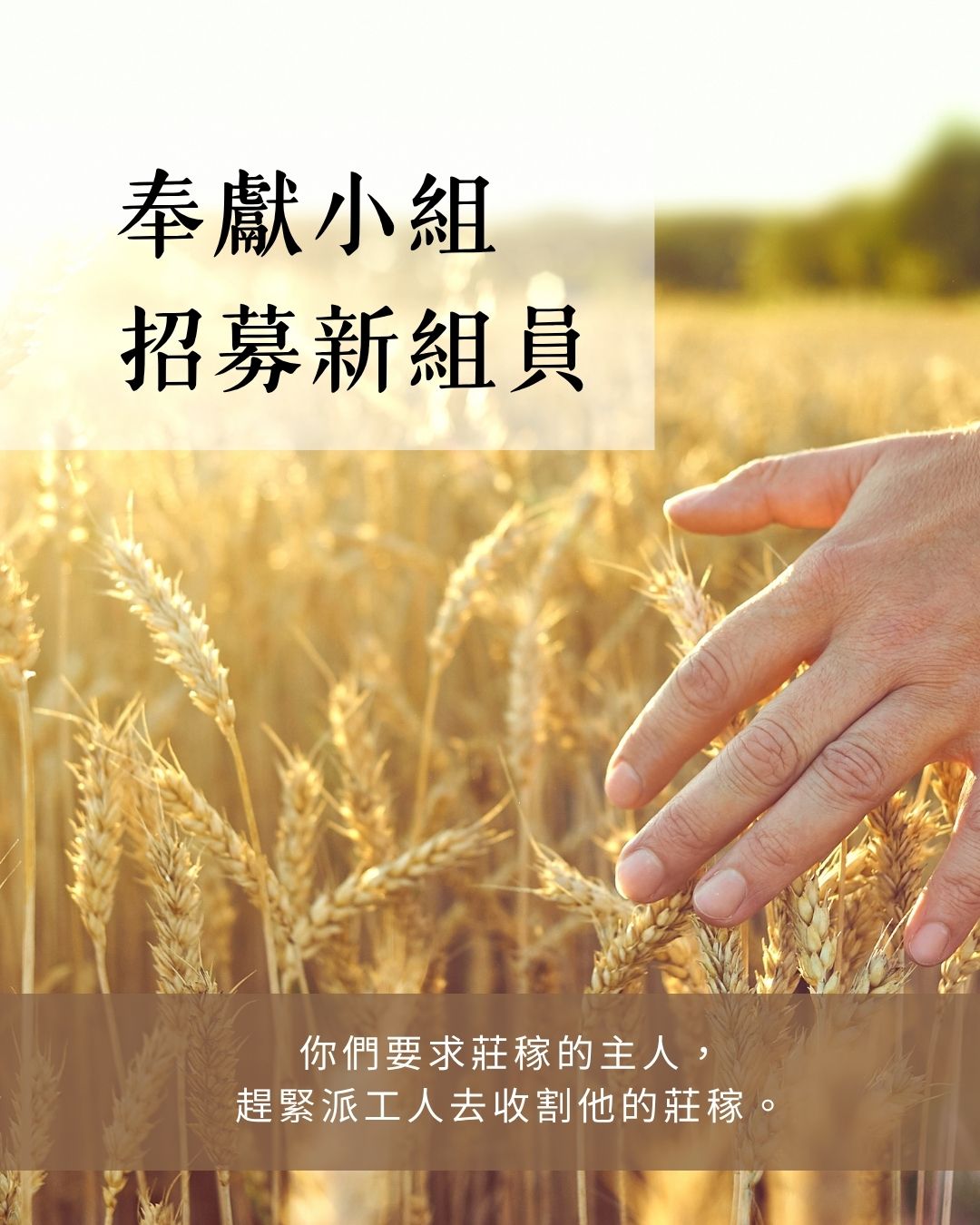 奉獻小組招募新組員