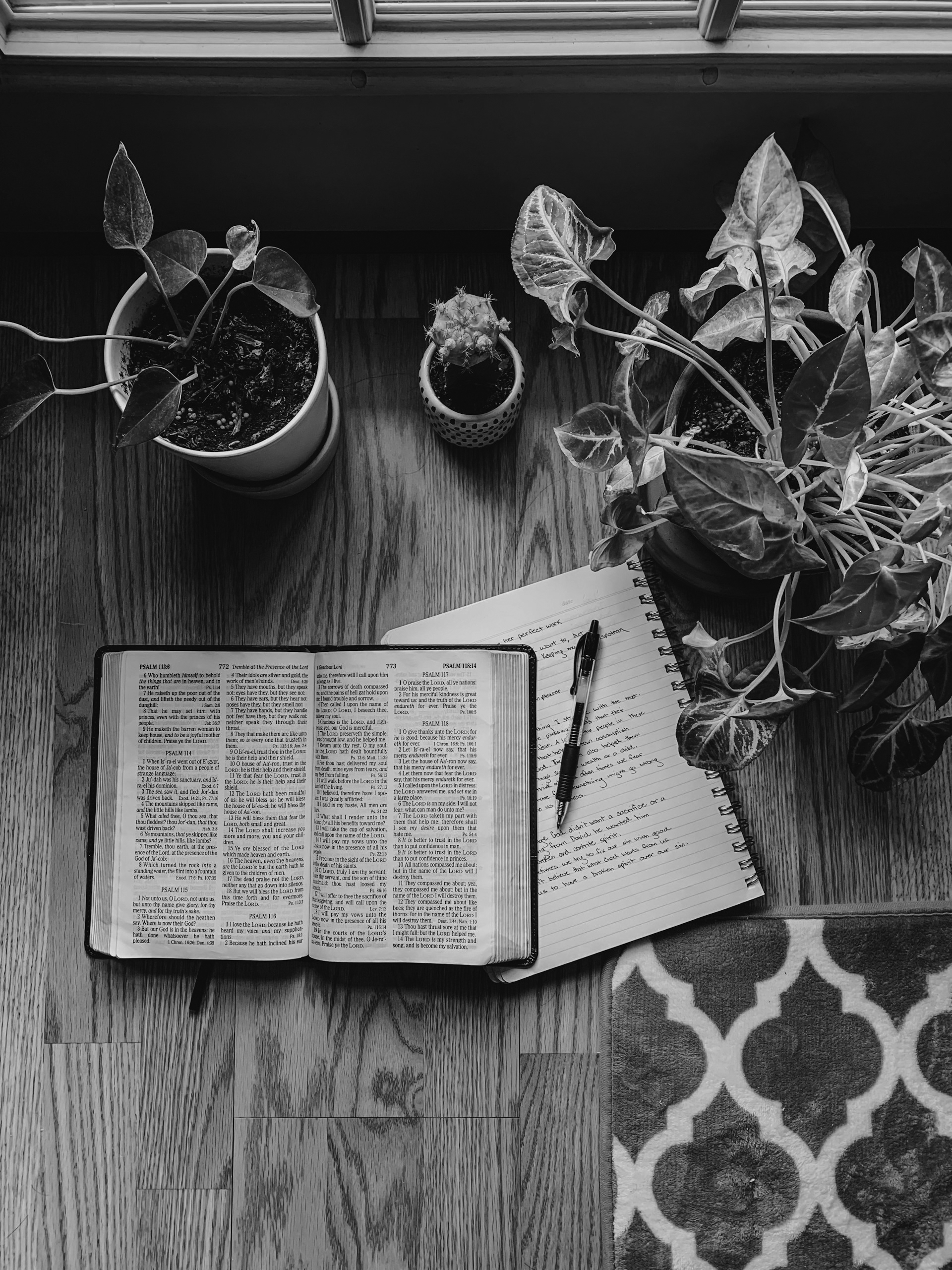 動員培訓系主日學課程報名