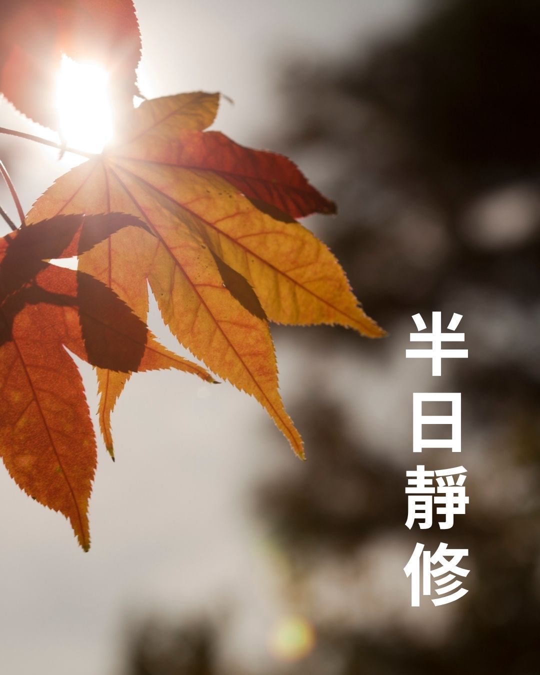 半日靜修